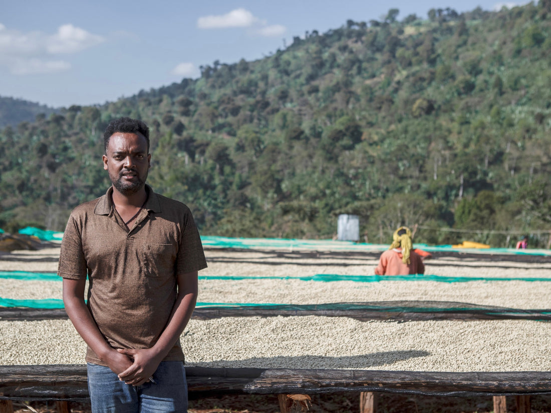 DANCHE/ETHIOPIA