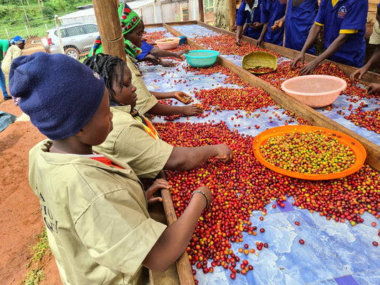 BULAMBULI/UGANDA