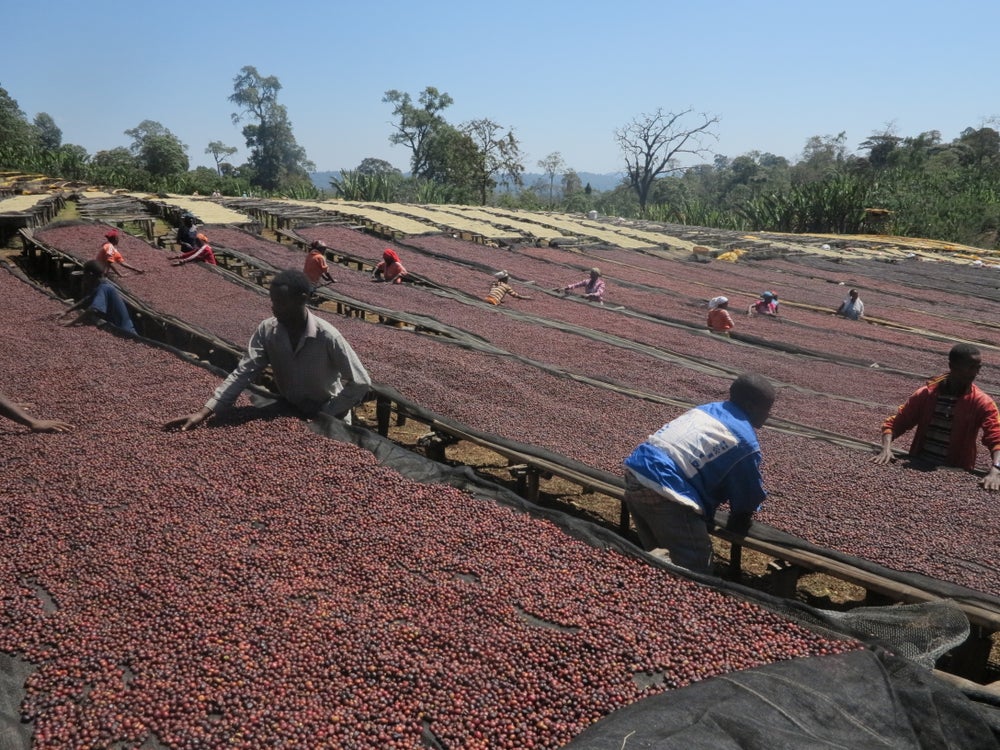 Hada / Ethiopia