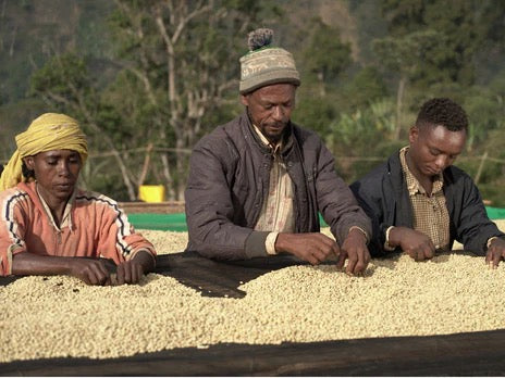 HALO / ETHIOPIA