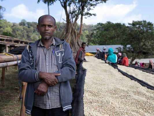 RIRIPA ORGANIC / ETHIOPIA