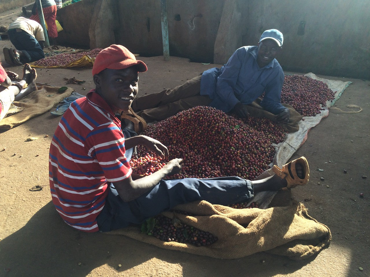 AA THIMU / KENYA