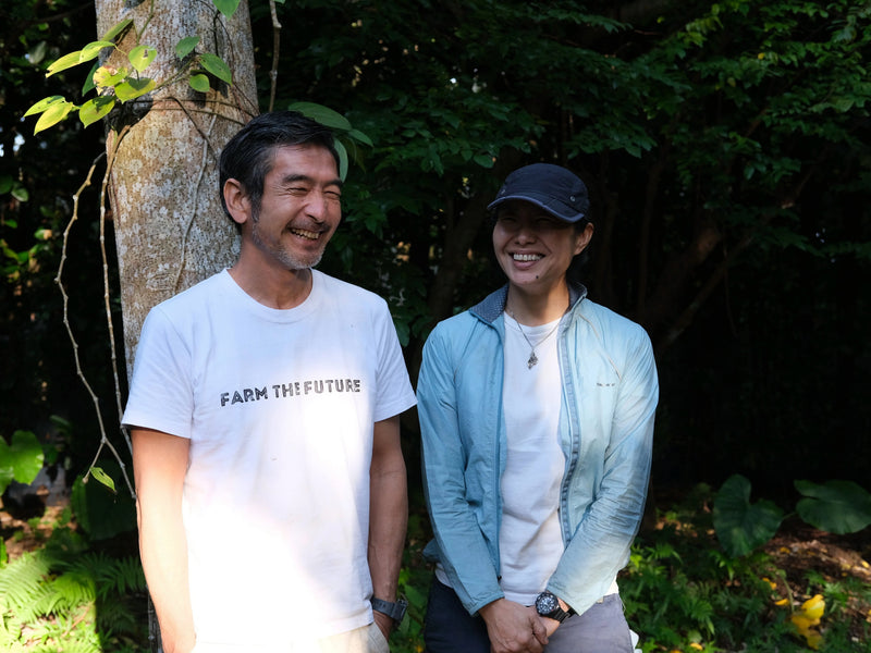 安田珈琲2026