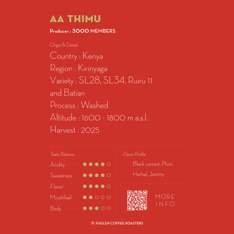 AA THIMU / KENYA