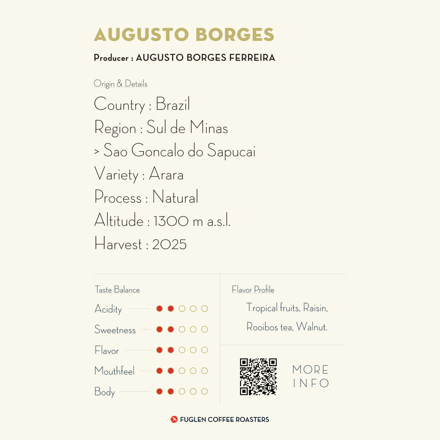 AUGUSTO BORGES / BRAZIL
