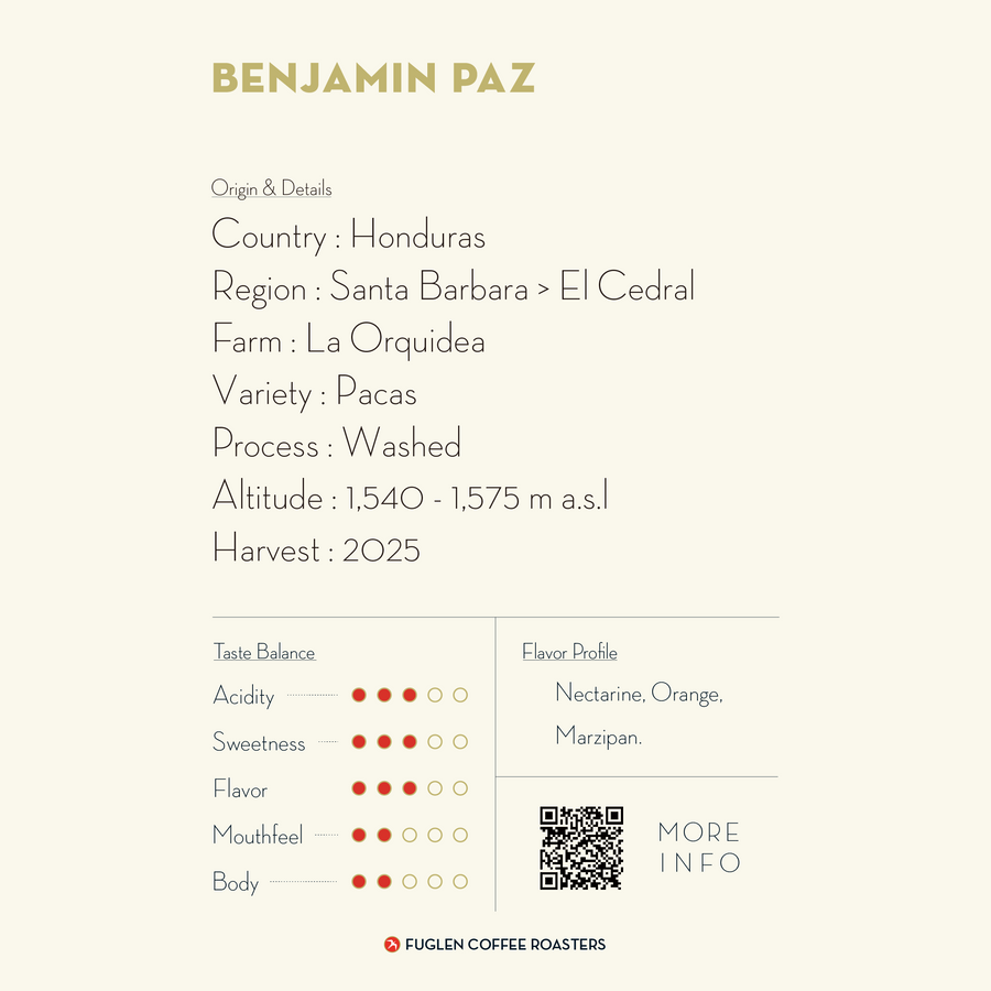 【NEW】BENJAMIN PAZ PACAS / HONDURAS
