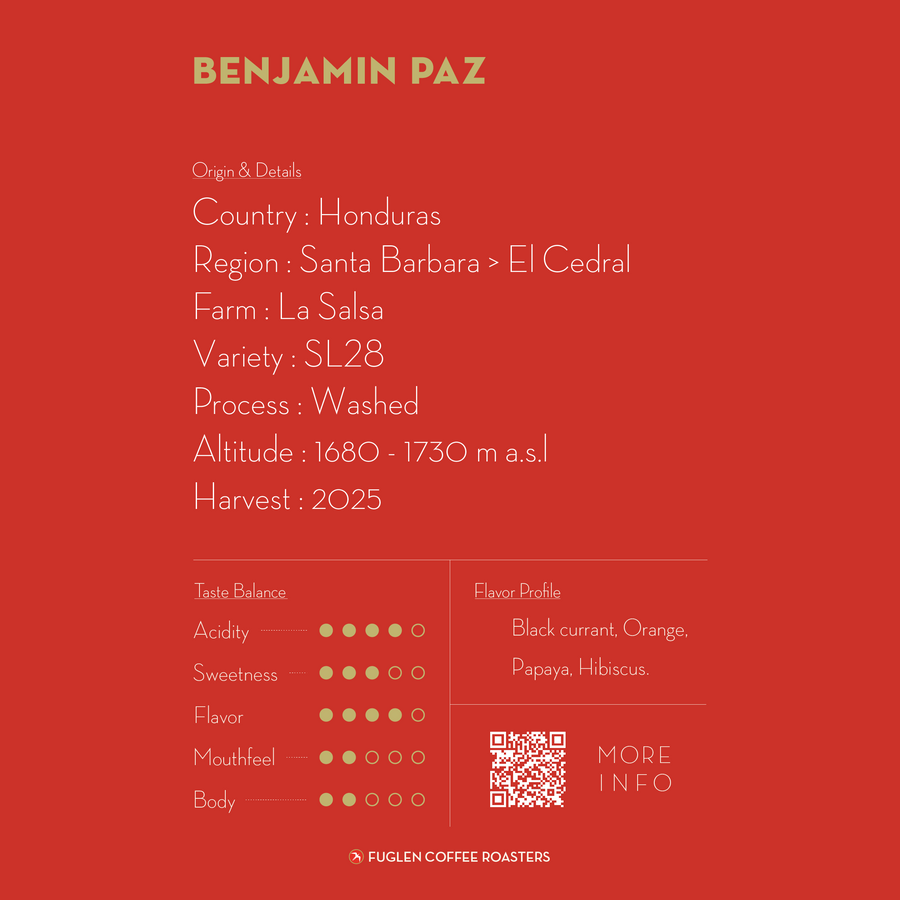 【NEW】 BENJAMIN PAZ SL28 / HONDURAS