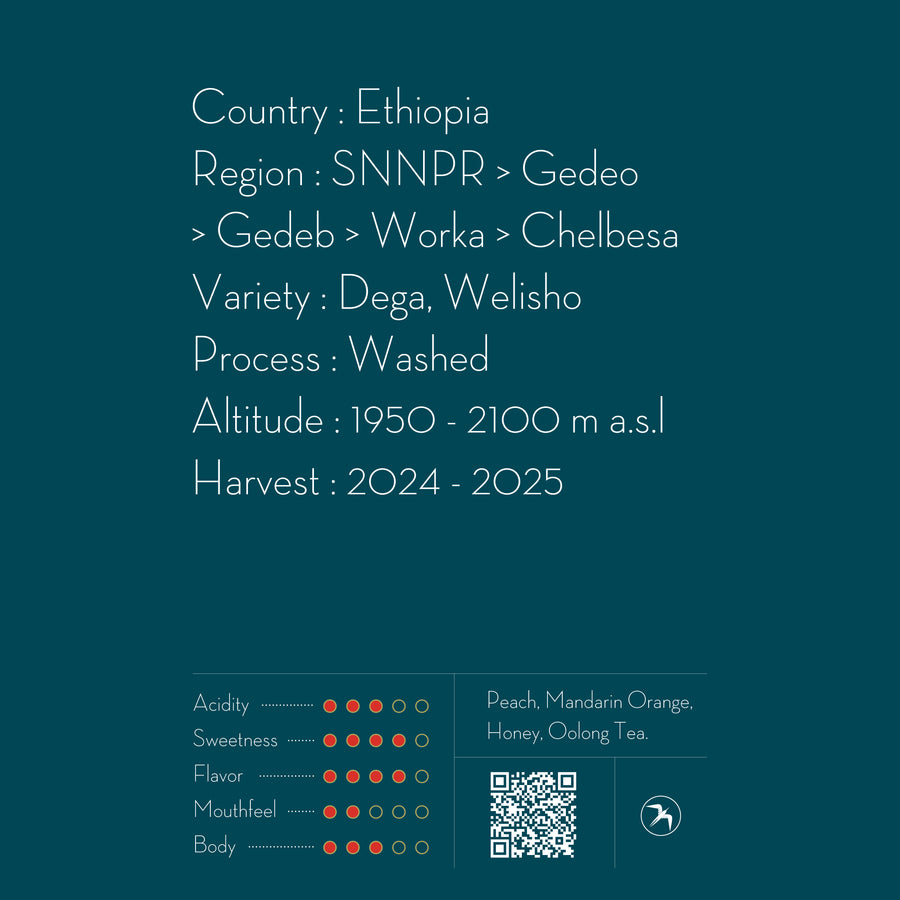 CHELBESA / ETHIOPIA