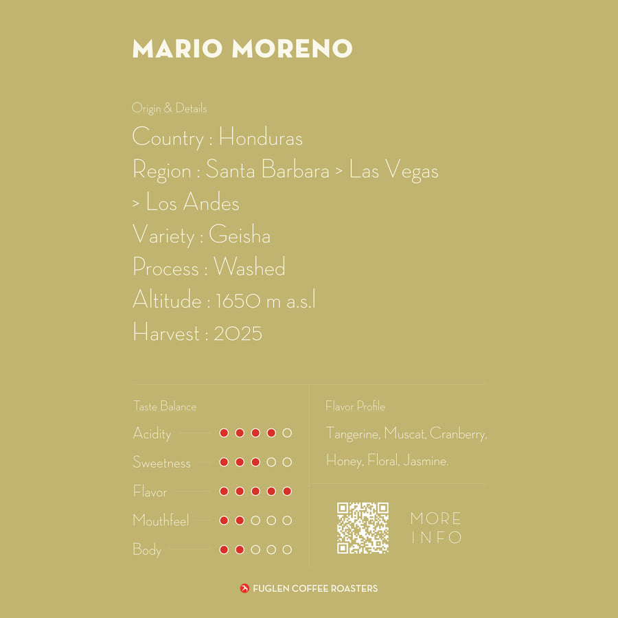 【SOLD OUT】 MARIO MORENO GEISHA / HONDURAS