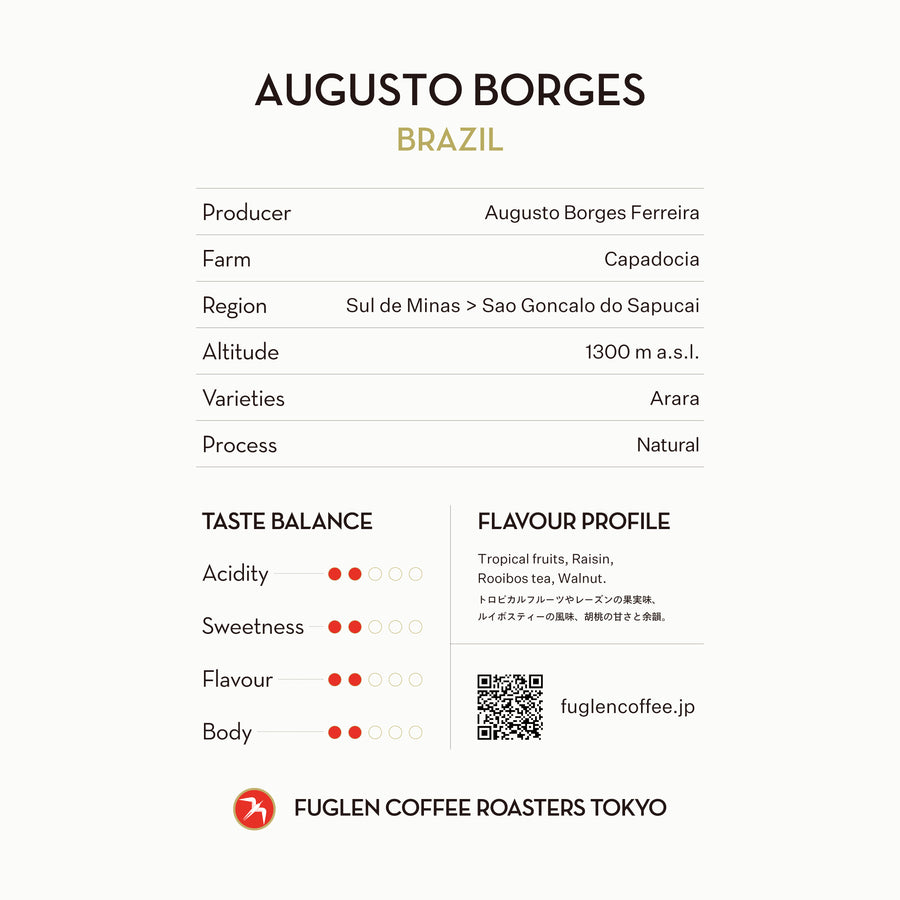【SOLD OUT】DRIP BAG / AUGUSTO BORGES, BRAZIL