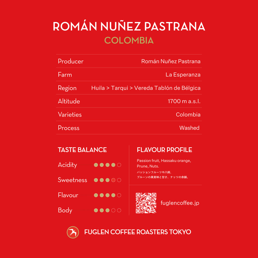ROMÁN NUÑEZ PASTRANA / COLOMBIA