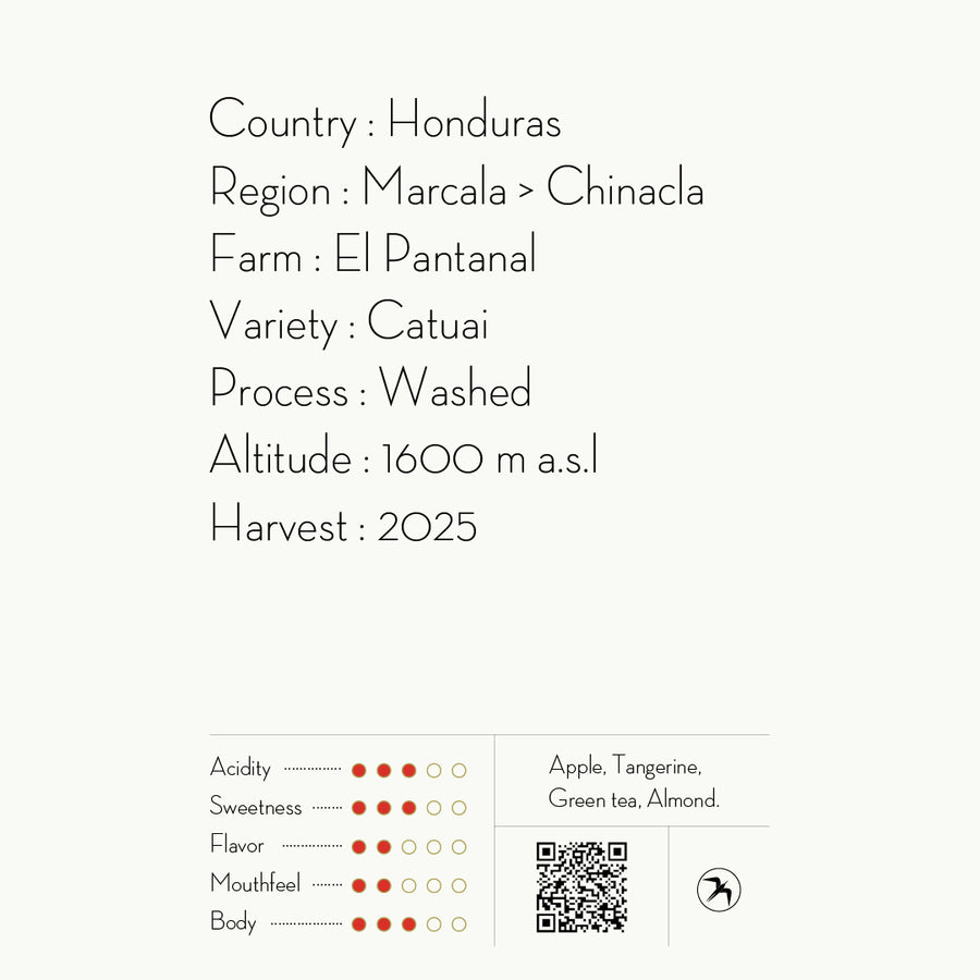 【SOLD OUT】EL PANTANAL / HONDURAS