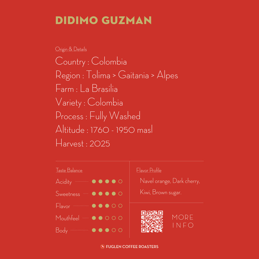 【SOLD OUT】DIDIMO GUZMAN / COLOMBIA