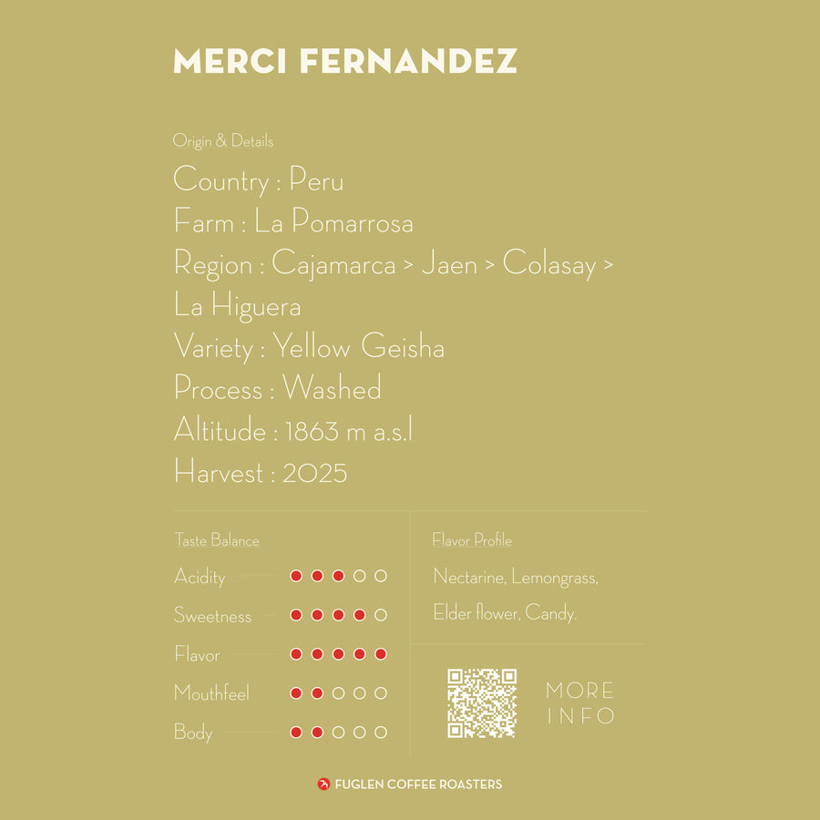 MERCI FERNANDEZ GEISHA / PERU