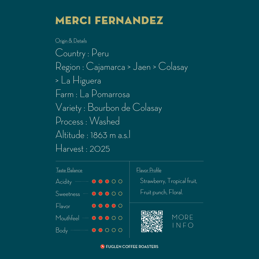 【NEW】 MERCI FERNANDEZ / PERU